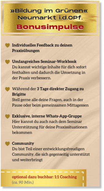 Angebot-2023-02-BIG-Bonus.png